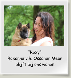 “Roxy” Roxanne v.h. Osscher Meer blijft bij ons wonen