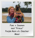 Fam. v. Deenen met “Prince” Purple Rain v.h. Osscher Meer