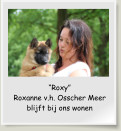 “Roxy” Roxanne v.h. Osscher Meer blijft bij ons wonen