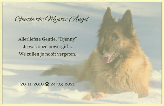 Gentle the Mystic Angel  Allerliefste Gentle, “Djenny” Je was onze powergirl… We zullen je nooit vergeten.    20-11-2010  24-03-2021
